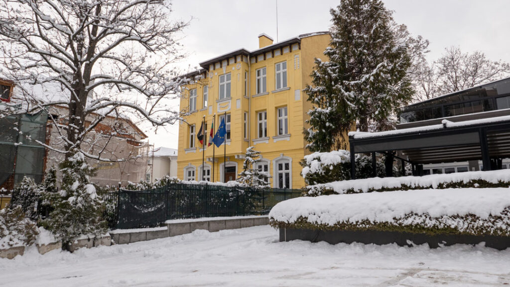 Dr. Maya Neidenowa - Office